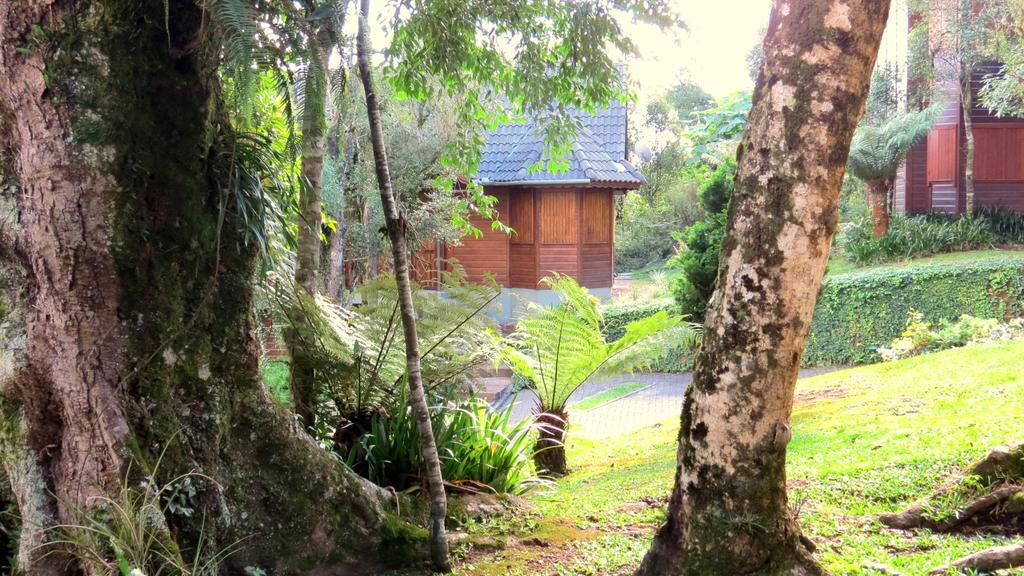Pousada Floresta Negra Canela Exterior photo